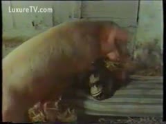 After bickering with her hubby, a filthy married floozy screws a dog and reveals her slit.